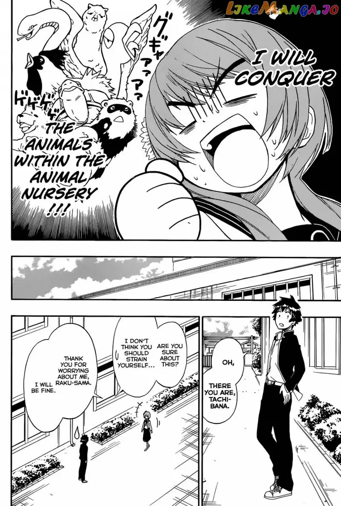 Nisekoi Chapter 142 image 03_optimized